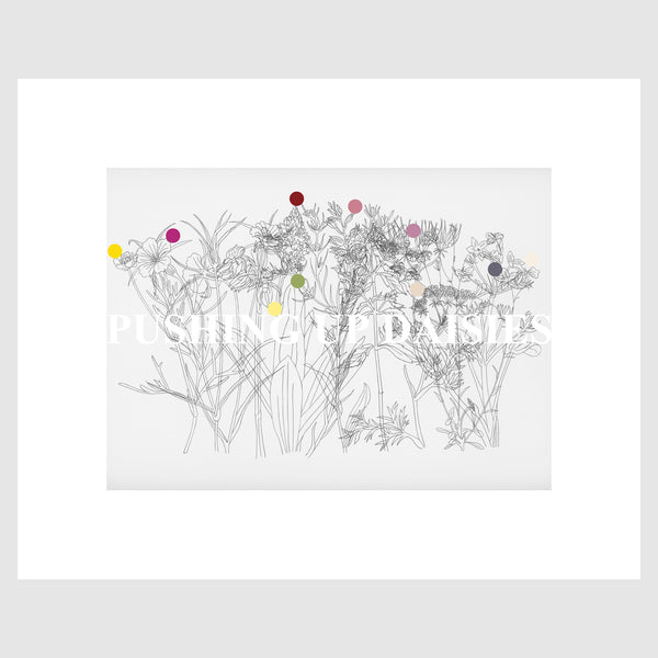 Pushing Up Daisies, 2020, Ed 25, 20 x 16in (50.8 x 40.7cm), Giclée print on 308gsm Hahnemühle Photo Rag