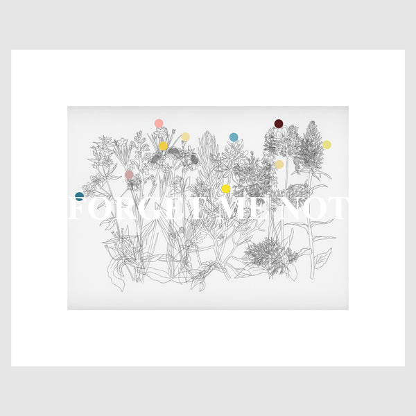 Forget Me Not, 2020, Ed 25, 20 x 16in (50.8 x 40.7cm), Giclée print on 308gsm Hahnemühle Photo Rag